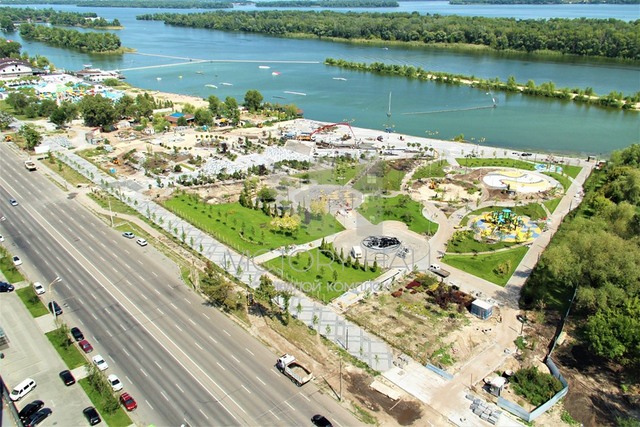 T6