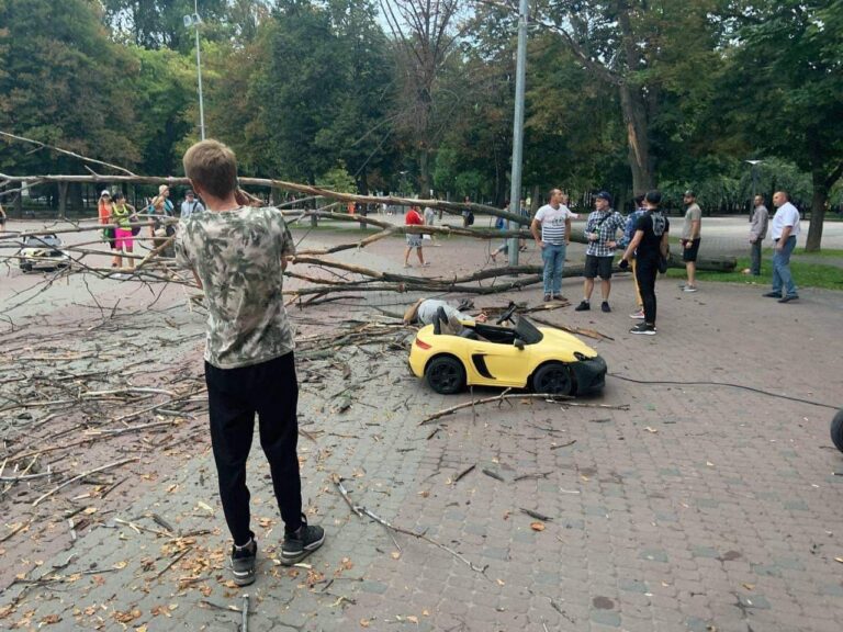 дерево
