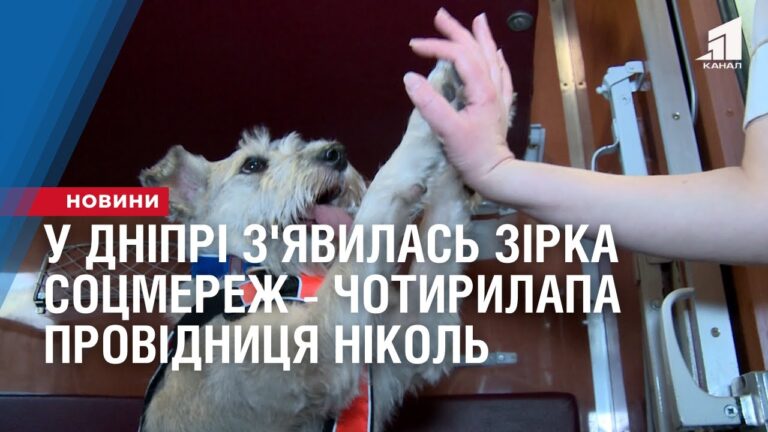 u-dnipri-z-yavylas-zirka-soczmerezh-chotyrylapa-providnyczya-nikol
