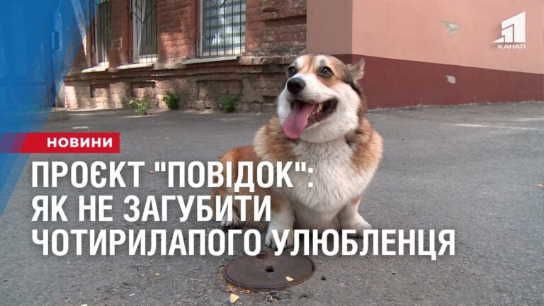 proyekt-povidok-yak-ne-zagubyty-chotyrylapogo-ulyublenczya