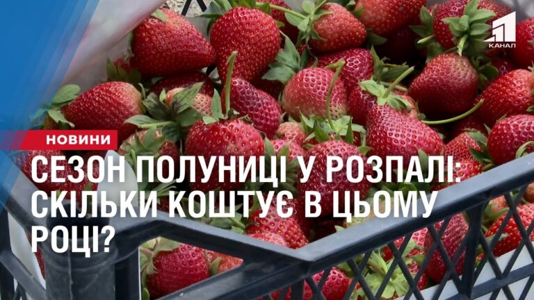 sezon-polunyczi-u-rozpali-skilky-koshtuye-v-czomu-roczi
