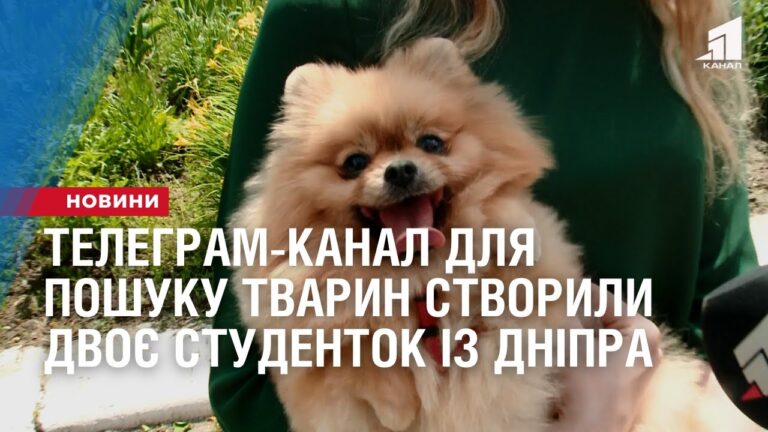 telegram-kanal-dlya-poshuku-tvaryn-stvoryly-dvoye-studentok-iz-dnipra