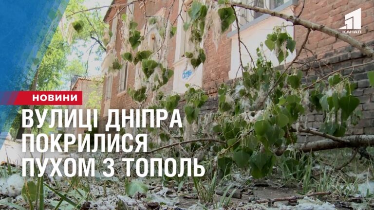 vulyczi-dnipra-pokrylysya-puhom-z-topol