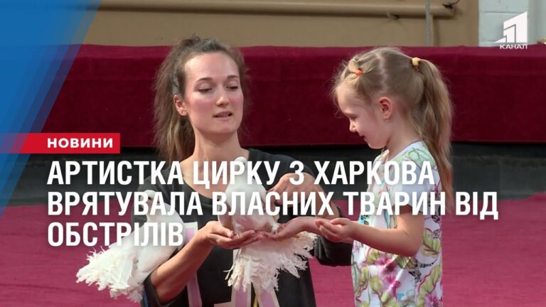 artystka-czyrku-z-harkova-vryatuvala-vlasnyh-tvaryn-vid-obstriliv