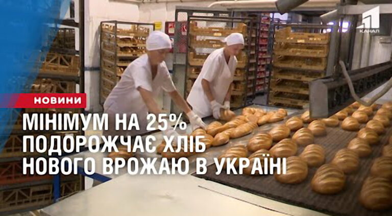 minimum-na-25-podorozhchaye-hlib-novogo-vrozhayu-v-ukrayini