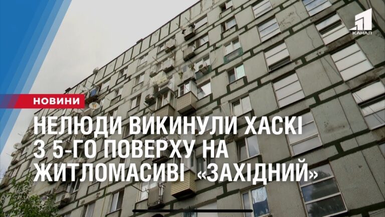 u-dnipri-vykynuly-haski-z-p-yatogo-poverhu