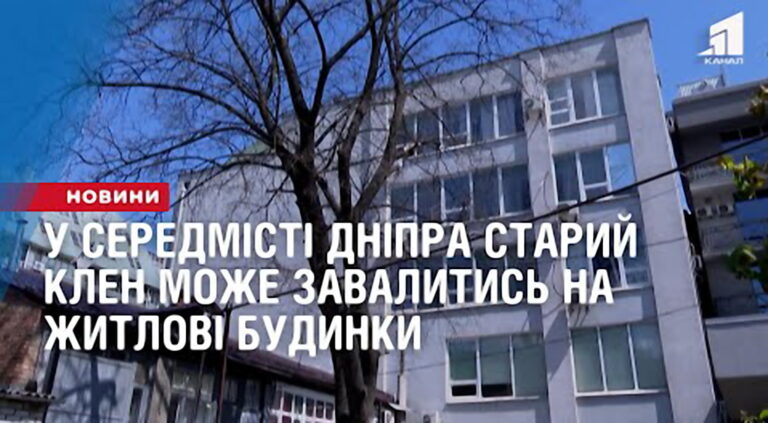 u-samomu-czentri-dnipra-staryj-klen-mozhe-zavalytys-prosto-na-zhytlovi-budynky