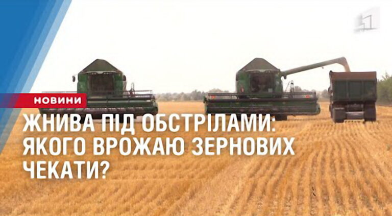 zhnyva-pid-obstrilamy-yakogo-vrozhayu-zernovyh-chekaty