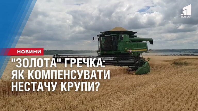zolota-grechka-yak-kompensuvaty-nestachu-krupy