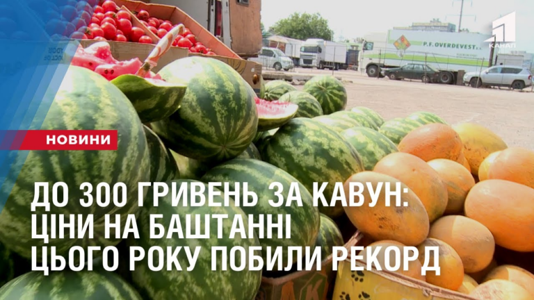 do-300-gryven-za-kavun-cziny-na-bashtanni-czogo-roku-pobyly-rekord