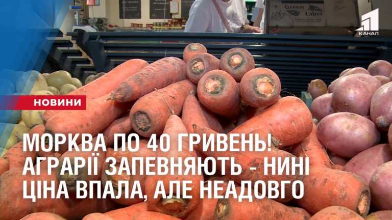 morkva-po-40-gryven-agrariyi-zapevnyayut-nyni-czina-vpala-ale-neadovgo