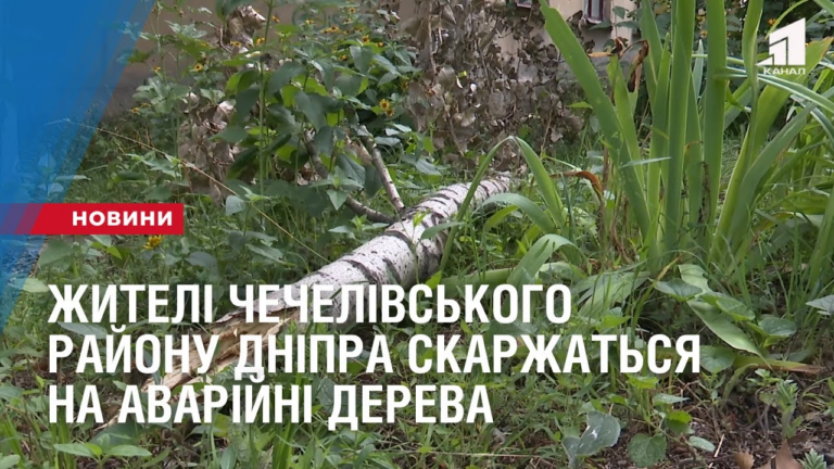 zhyteli-chechelivskogo-rajonu-dnipra-skarzhatsya-na-avarijni-dereva