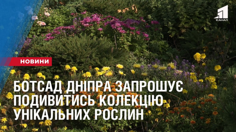 botsad-dnipra-zaproshuye-podyvytys-kolekcziyu-unikalnyh-roslyn
