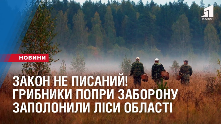 zakon-ne-pysanyj-grybnyky-popry-zaboronu-zapolonyly-lisy-oblasti
