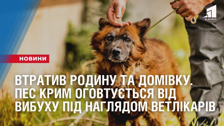 vtratyv-rodynu-ta-domivku-pes-krym-ogovtuyetsya-vid-vybuhu-pid-naglyadom-vetlikariv
