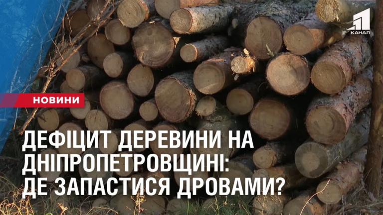 deficzyt-derevyny-na-dnipropetrovshhyni-de-zapastysya-drovamy
