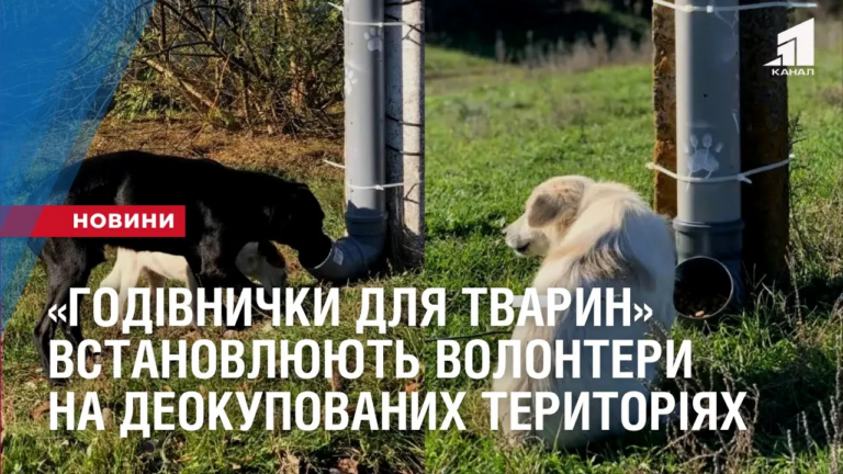 godivnychky-dlya-tvaryn-vstanovlyuyut-volontery-z-dnipra-na-shhojno-deokupovanyh-terytoriyah