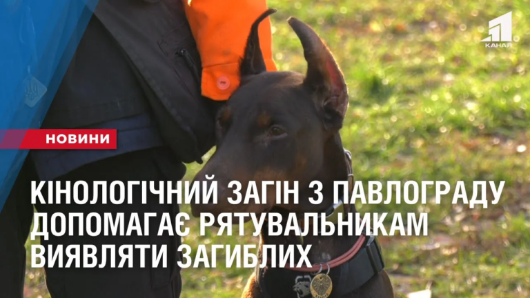 kinologichnyj-zagin-z-pavlogradu-dopomagaye-ryatuvalnykam-vyyavlyaty-zagyblyh
