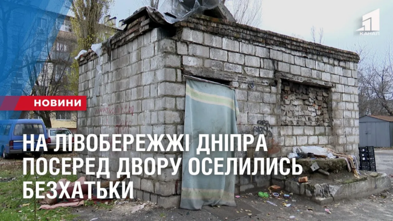 na-livoberezhzhi-dnipra-posered-dvoru-oselylys-bezhatky