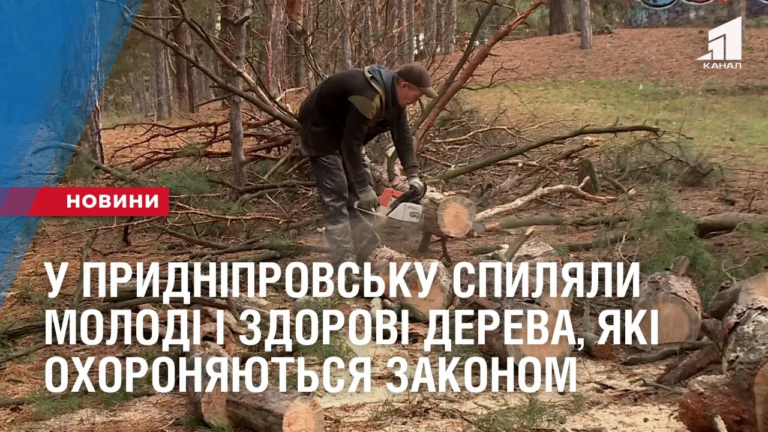 u-prydniprovsku-spylyaly-molodi-i-zdorovi-dereva-yaki-ohoronyayutsya-zakonom