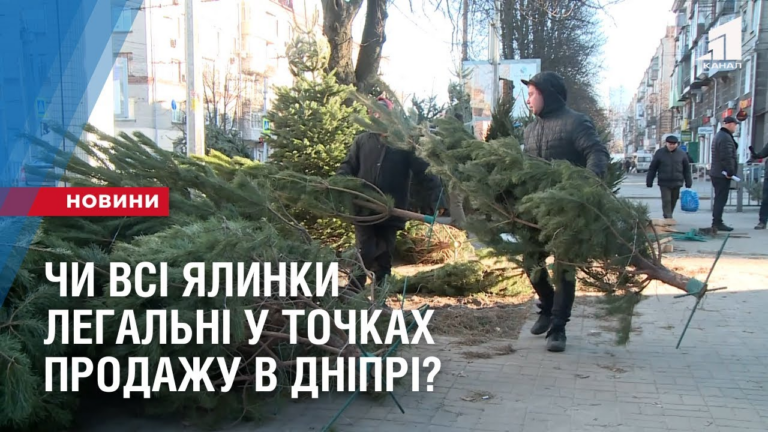 chy-vsi-yalynky-legalni-u-tochkah-prodazhu-v-dnipri