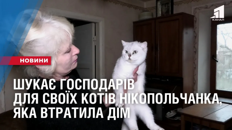 shukaye-gospodariv-dlya-svoyih-kotiv-nikopolchanka-yaka-vtratyla-dim