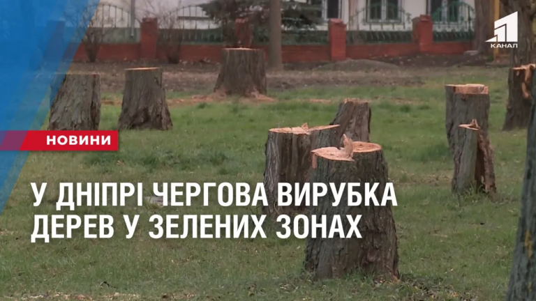 u-dnipri-chergova-vyrubka-derev-u-zelenyh-zonah