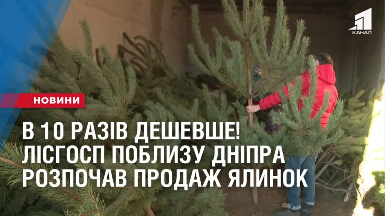 v-10-raziv-deshevshe-lisgosp-poblyzu-dnipra-rozpochav-prodazh-yalynok