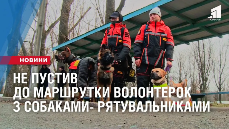 vodij-ne-pustyv-do-marshrutky-volonterok-z-sobakamy-ryatuvalnykamy