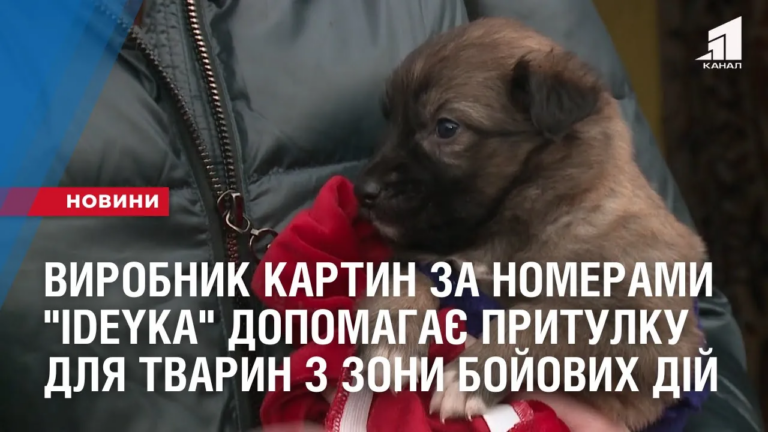 vyrobnyk-kartyn-za-nomeramy-ideyka-dopomagaye-prytulku-dlya-tvaryn-z-zony-bojovyh-dij