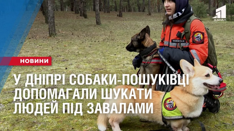 chotyrylapi-ryatuvalnyky-u-dnipri-sobaky-poshukivczi-dobu-pospil-shukaly-lyudej-pid-zavalamy