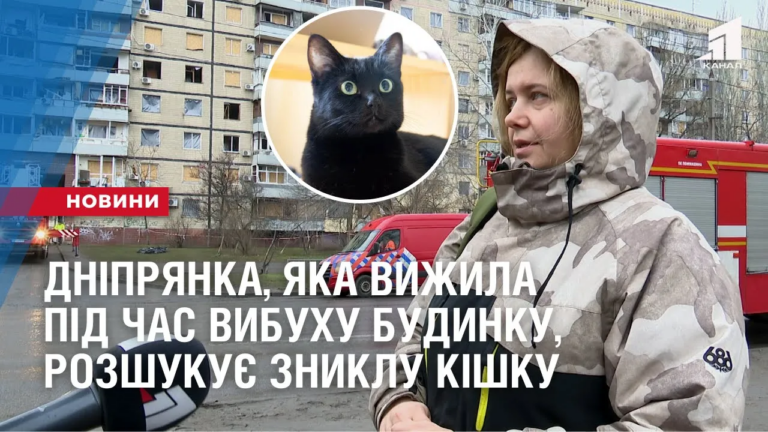 dnipryanka-yaka-vyzhyla-pid-chas-vybuhu-budynku-rozshukuye-znyklu-kishku