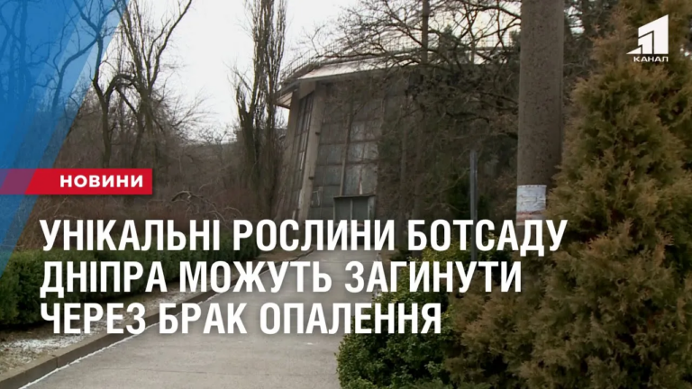 unikalni-roslyny-botsadu-dnipra-mozhut-zagynuty-cherez-brak-opalennya