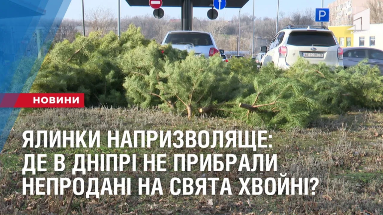 yalynky-napryzvolyashhe-de-v-dnipri-ne-prybraly-neprodani-na-svyata-hvojni