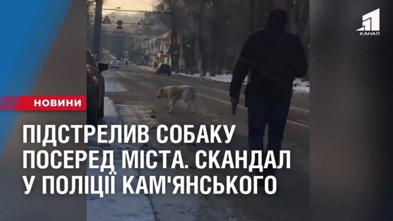 pidstrelyv-sobaku-posered-mista-skandal-mizh-policzejskym-ta-zoozahysnykamy-u-kam-yanskomu