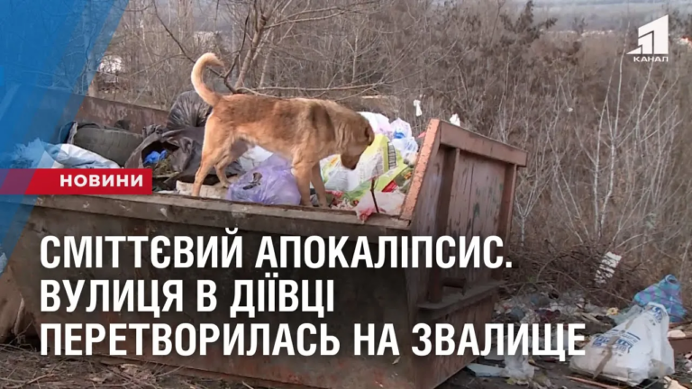 smittyevyj-apokalipsys-vulyczya-diyivky-peretvorylas-na-zvalyshhe