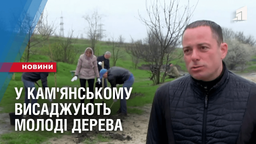 u-kam-yanskomu-vysadzhuyut-molodi-dereva