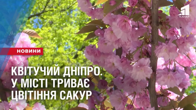 kvituchyj-dnipro-u-misti-tryvaye-czvitinnya-sakur