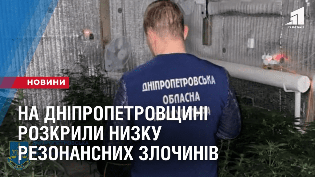 na-dnipropetrovshhyni-pravoohoronczi-rozkryly-nyzku-rezonansnyh-finansovyh-zlochyniv