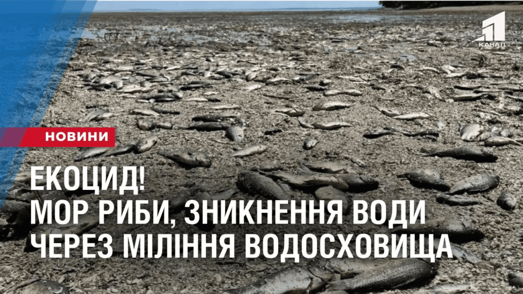 ekoczyd-dnipropetrovshhyny-mor-ryby-naselennya-bez-vody-cherez-milinnya-vodoshovyshha