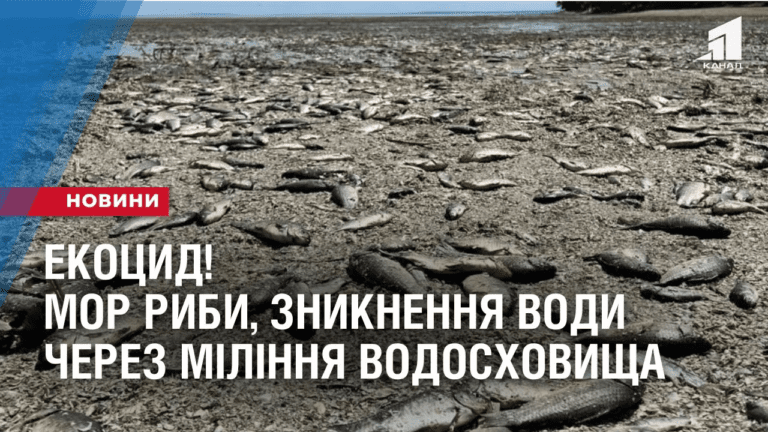ekoczyd-dnipropetrovshhyny-mor-ryby-naselennya-bez-vody-cherez-milinnya-vodoshovyshha