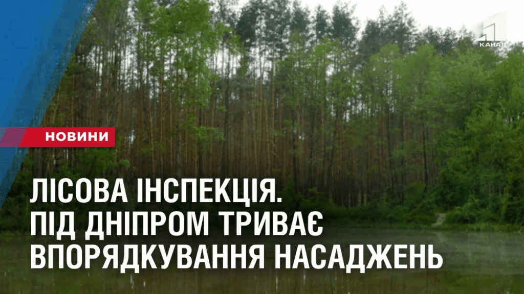 lisova-inspekcziya-pid-dniprom-tryvaye-vporyadkuvannya-zelenyh-nasadzhen