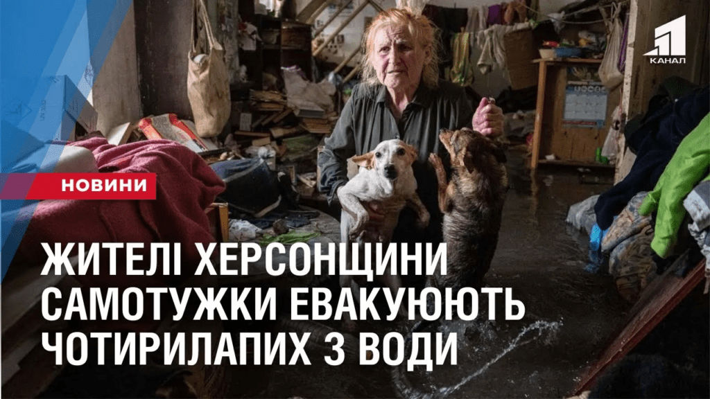 poryatunok-tvaryn-zhyteli-hersonshhyny-samotuzhky-evakuyuyut-chotyrylapyh-z-vody