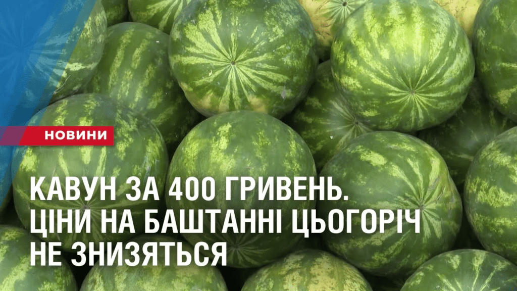 kavun-za-400-gryven-cziny-na-bashtanni-czogorich-ne-znyzyatsya