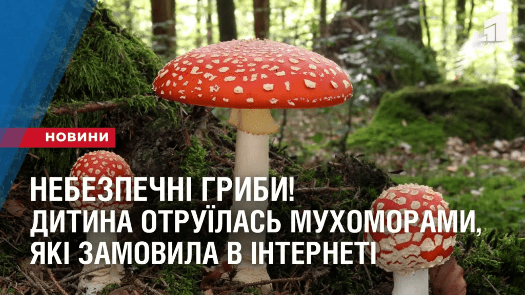 nebezpechni-gryby-dytyna-otruyilas-muhomoramy-yaki-zamovyla-v-interneti