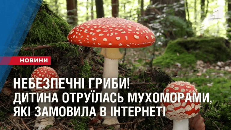 nebezpechni-gryby-dytyna-otruyilas-muhomoramy-yaki-zamovyla-v-interneti