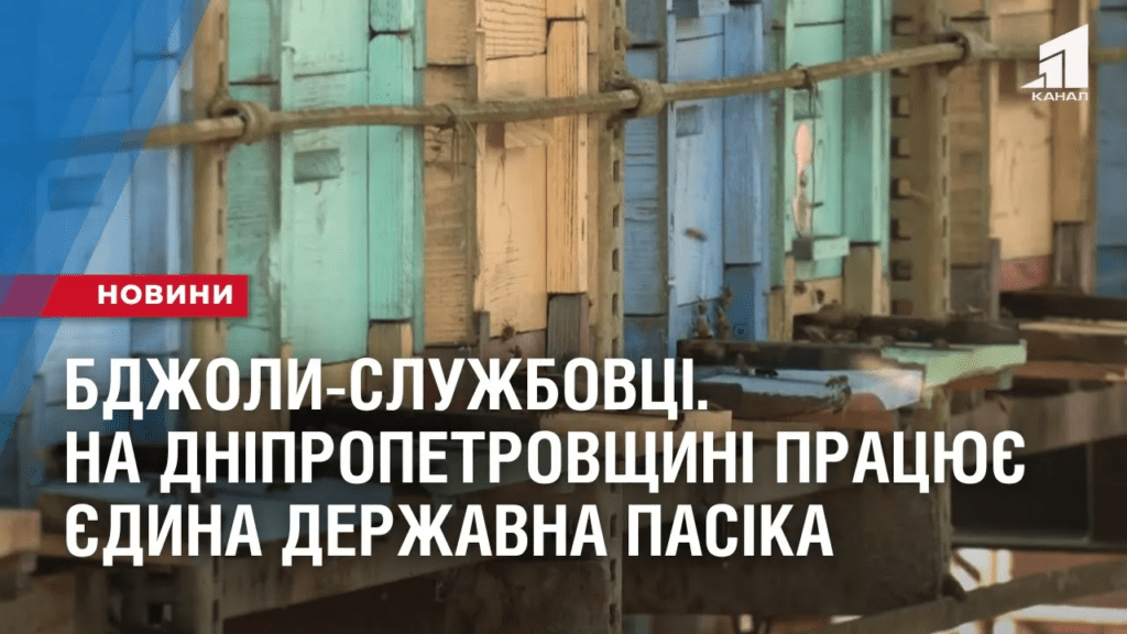 bdzholy-sluzhbovczi-na-dnipropetrovshhyni-praczyuye-yedyna-derzhavna-pasika
