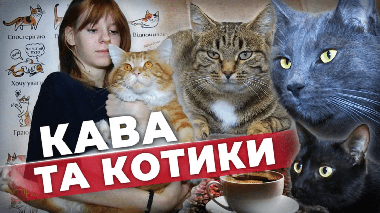 puhnasti-kraseni-u-kryvomu-rozi-praczyuye-kafe-de-zhyvut-p-yat-kotiv-iz-neprostymy-dolyamy