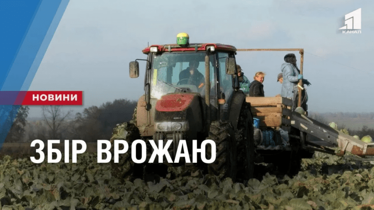 shhedryj-vrozhaj-agrariyi-oblasti-zibraly-ponad-600-tysyach-tonn-kartopli-ta-750-tysyach-tonn-inshyh-ovochej