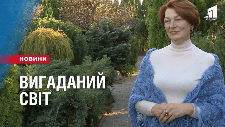vygadanyj-svit-nepodalik-dnipra